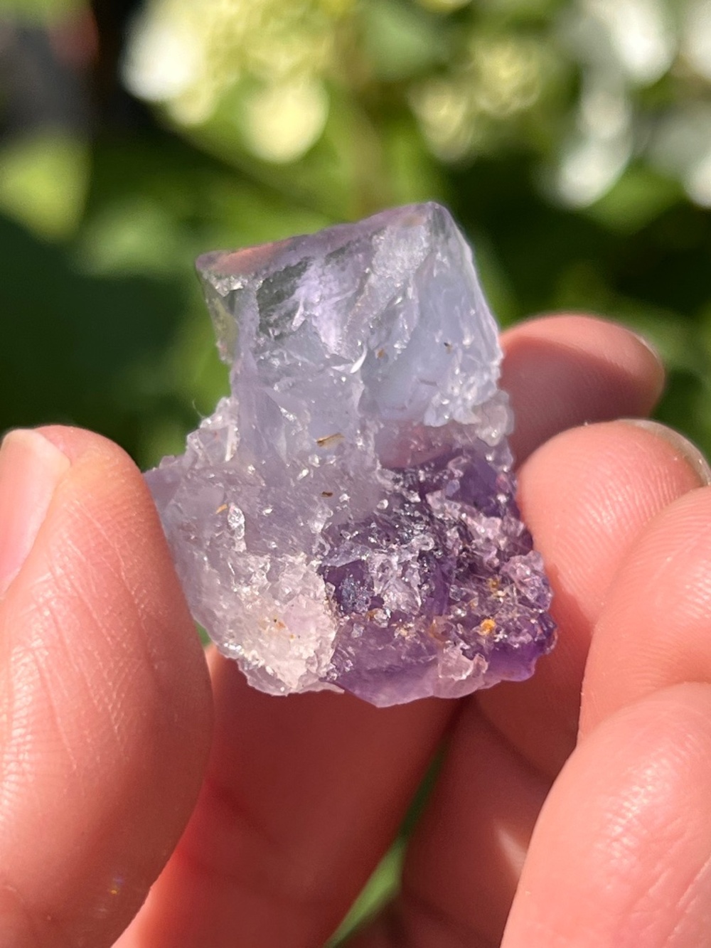 Fluorite (7) specimen with stand | crystal